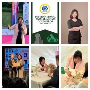 강연·인증식·반려견 케어 장면과 국제 동물아로마상담사 로고를 모은 성채하 원장 프로필 사진