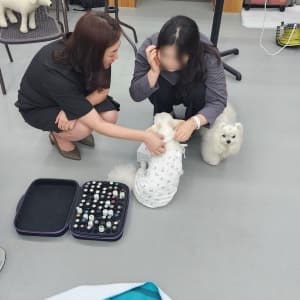 아로마 오일 키트 옆에서 반려견 두 마리와 함께 향을 고르는 보호자들